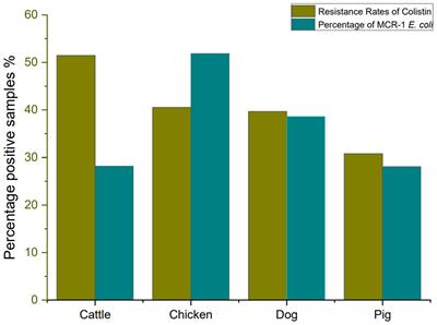 Molecular Epidemiology and Colistin-Resistant Mechanism of mcr-Positive and mcr-Negative Escherichia coli Isolated From Animal in Sichuan Province, China